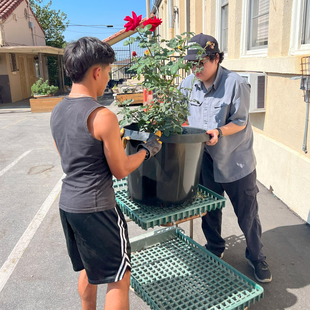 Eagle Project - Planters & Benches for Church